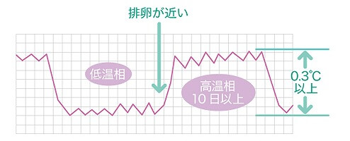 基礎体温の測定